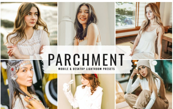 [Elements.Envato] Parchment Mobile & Desktop Light_0.png